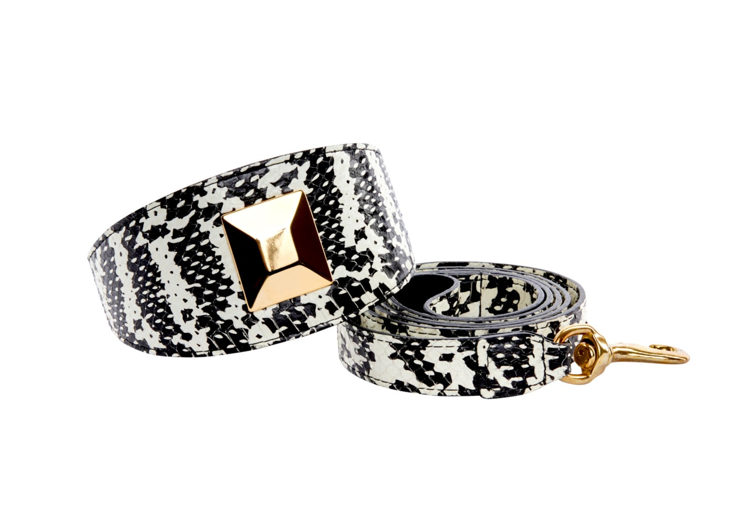 Black & White Snake 3” Wide Style Collar & Leash Set With Large Gold Custom Rivet