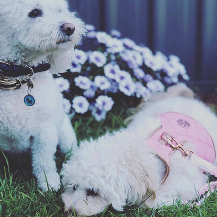 The Peony Dog Harness