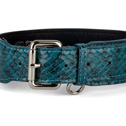 Teal and Black Snake Classic Collar