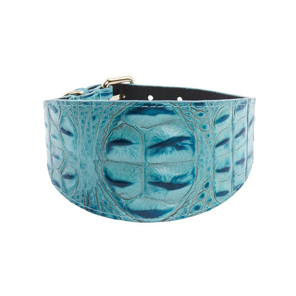 Turquoise Embossed Croc Italian Leather 3” Wide Style Collar