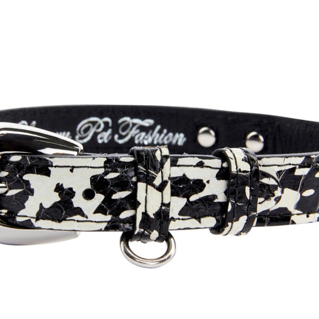 Black & White Snake Collar With Silver Oval Hardware