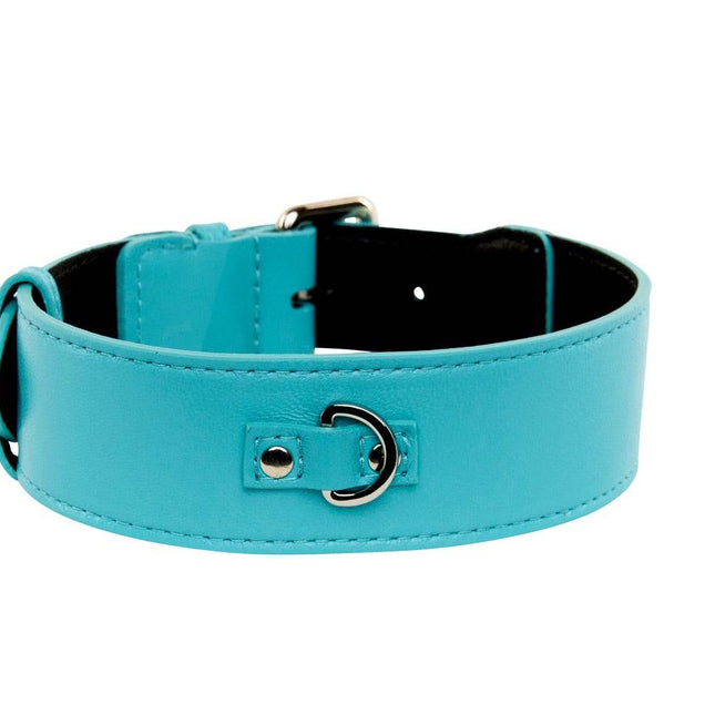 Turquoise Blue Italian Leather Classic Collar/Silver Classic Hardware