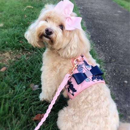 The Blossom Dog Harness