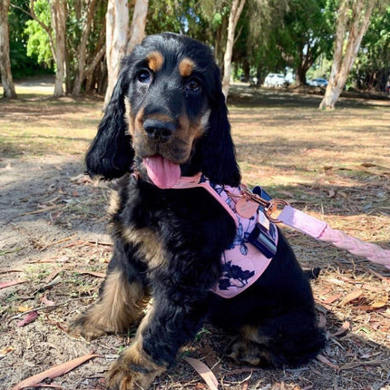 The Blossom Dog Harness