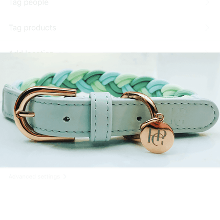 Dog Collar Aquamarine Plaited