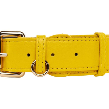 Yellow Italian Leather Classic Collar/Gold Classic Hardware