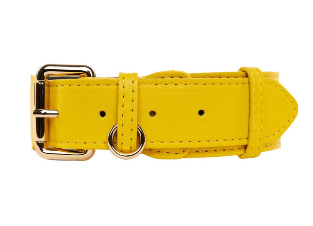 Yellow Italian Leather Classic Collar/Gold Classic Hardware