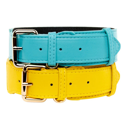 Turquoise Italian Leather/Silver Classic Hardware Collar & Yellow Italian Leather/Classic Gold Hardware Set