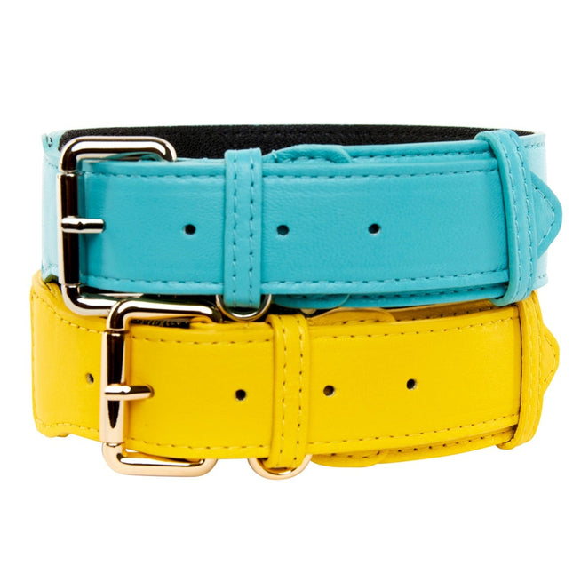 Turquoise Italian Leather/Silver Classic Hardware Collar & Yellow Italian Leather/Classic Gold Hardware Set