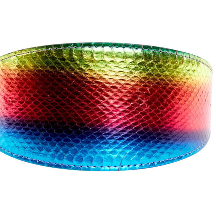 Pride Collection. Rainbow Snake 3” Wide Style Collar