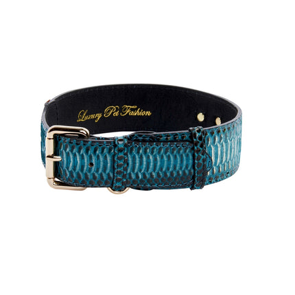 Turquoise, Black Snake Classic Collar With Gold Classic Hardware