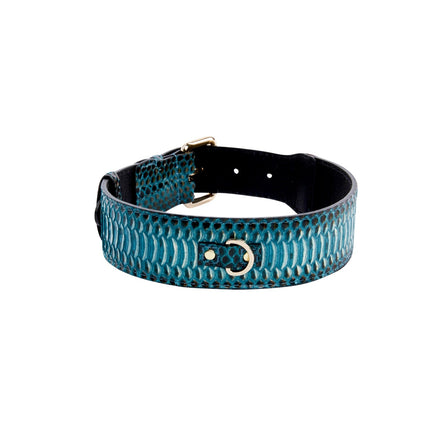 Turquoise, Black Snake Classic Collar With Gold Classic Hardware