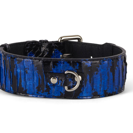 Black and Royal Blue Snake 3” Wide Style Collar