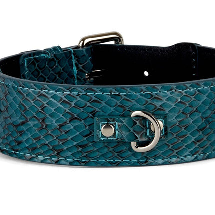 Teal and Black Snake Classic Collar