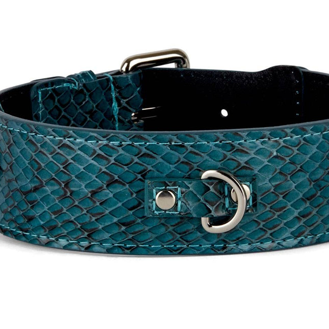 Teal and Black Snake Classic Collar