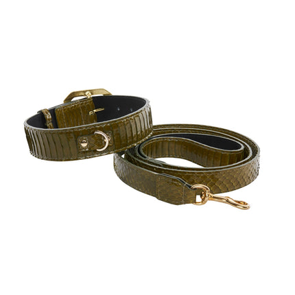 Olive Green Snake Collar & Leash Set