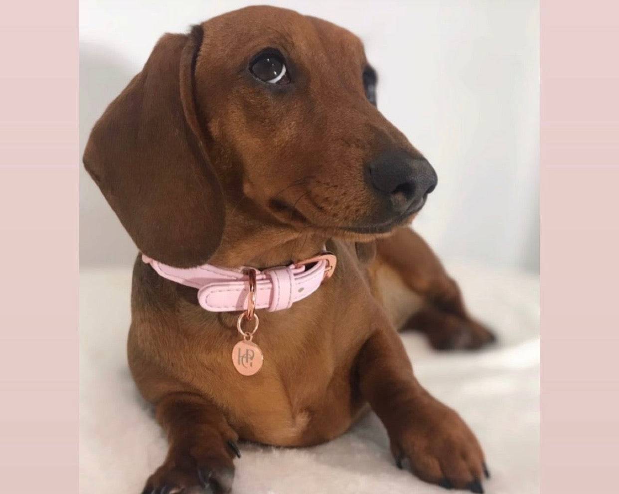 HGP ORIGINAL - Dog Collar Baby Pink Plaited