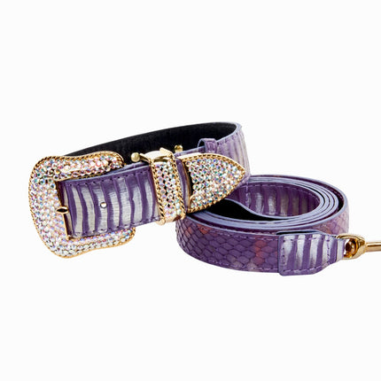 Luxury Pet Fashion Purple/Silver Multi-Tone Snakeskin Collar & Leash Set With Our Swarovski Crystal Hardware