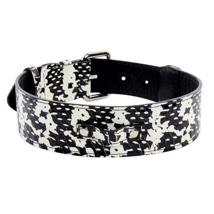 Black & White Snake/Classic Collar With Silver Hardware