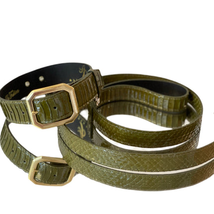 Luxury Pet Fashion Olive Snakeskin Collar & Leash Set