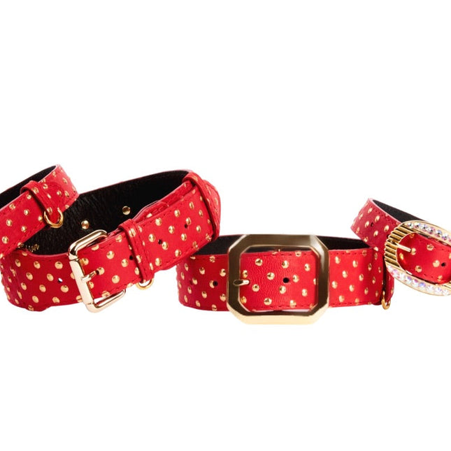 Red & Gold Polka Dot Italian Leather Set Of 4