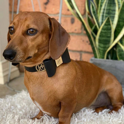 Leather Bow Tie Collar - Midnight