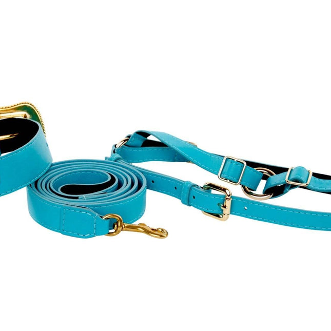 Aqua Blue Italian Leather/Swarovski Crystal Collar, Leash, Harness Set