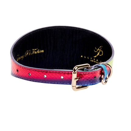 Pride Collection. Rainbow Snake 3” Wide Style Collar