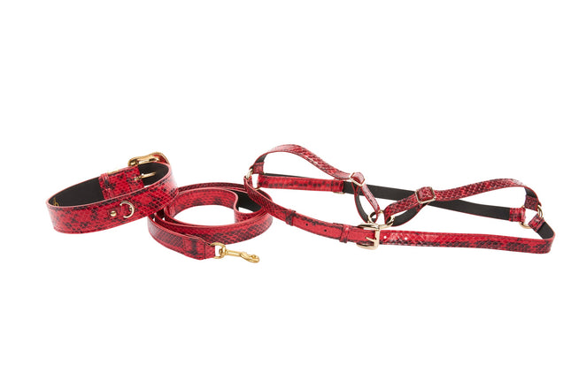 XL Red & Black Snake, Swarovski Crystal Collar Leash Harness Set