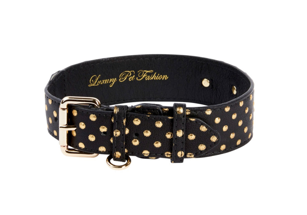 Black & Gold Polka Dot Italian Leather Classic Collar