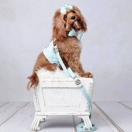 The Miss Aquamarine Dog Harness