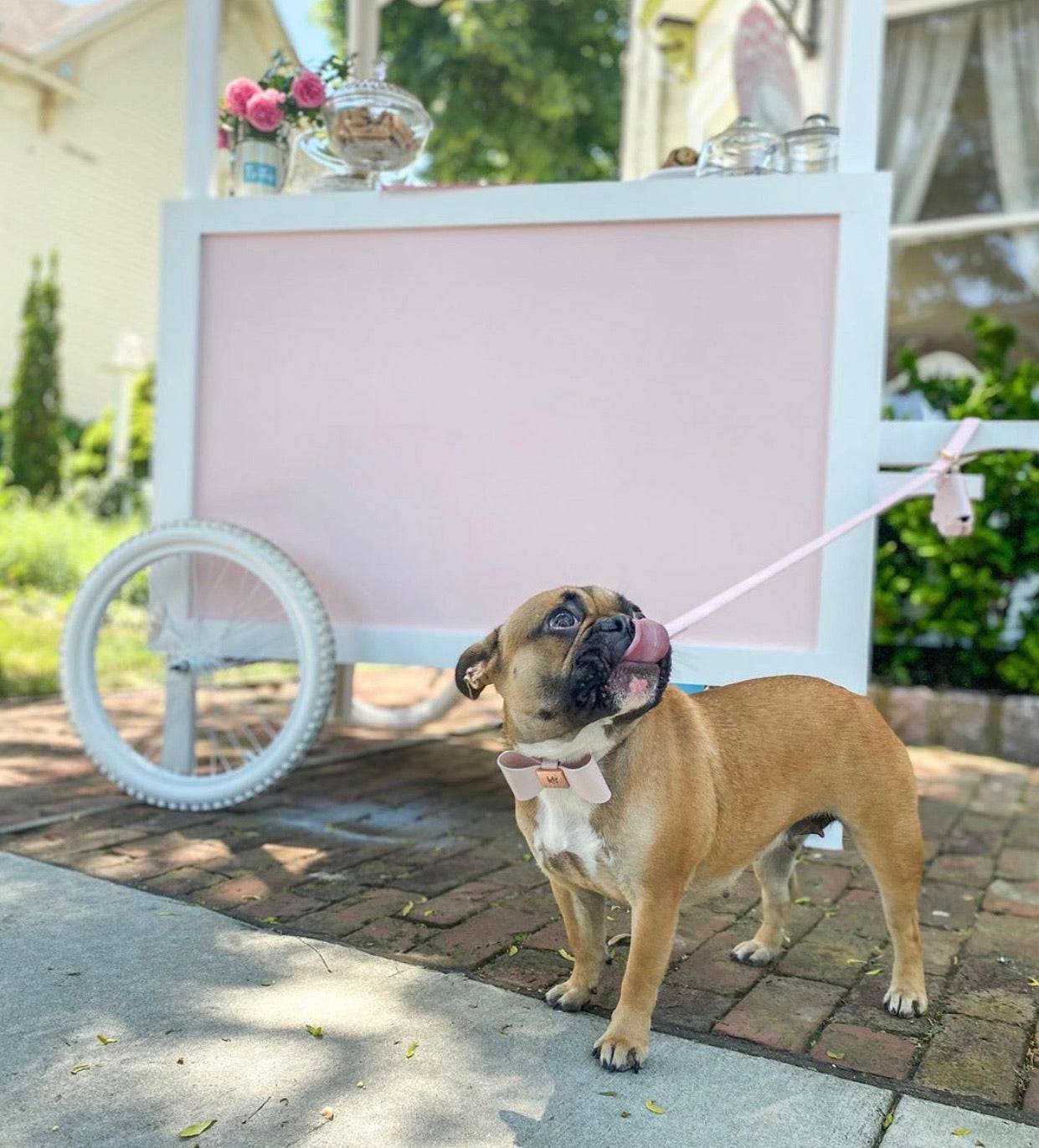 Leather Bow Collar - Blush