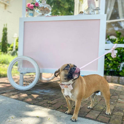 Leather Bow Collar - Blush