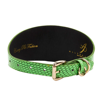 Dark Neon Green Snake 3” Wide Style Collar