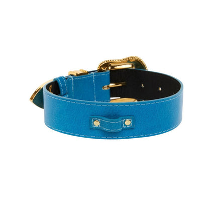 Vegetable Colored Italian Leather Collar With Gold Swarovski Crystal Hardware