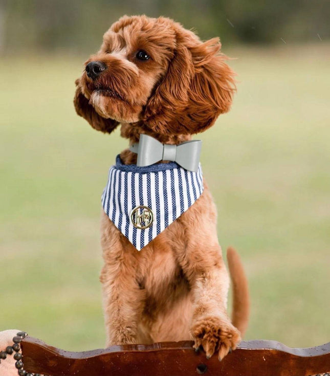 Leather Bow Collar - Misty