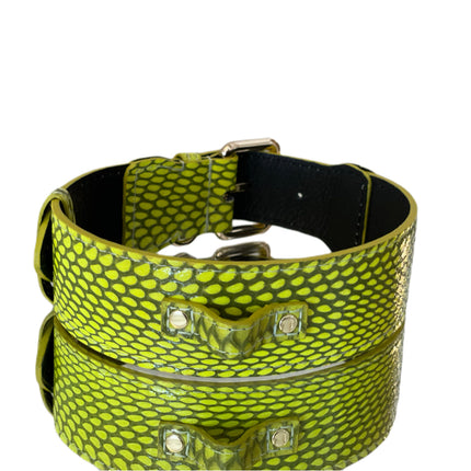 Luxury Pet Fashion Neon Green Snakeskin Collar/Classic Hardware