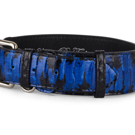 Black and Royal Blue Snake 3” Wide Style Collar