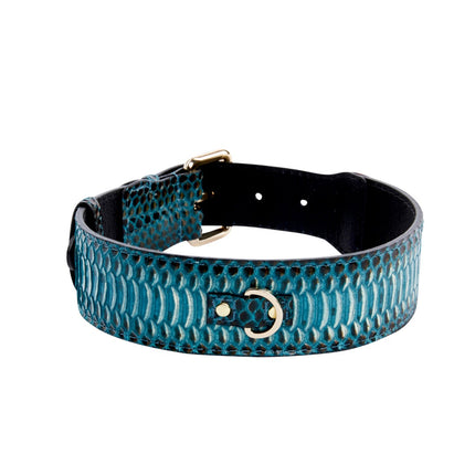 Turquoise, Black Snake Classic Collar With Silver & Gold Classic Hardware Set Of 2