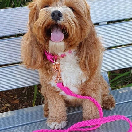 Dog Collar Lipstick Pink