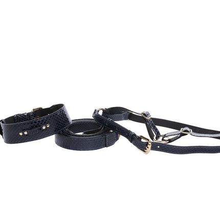 Navy Blue Snake Classic Hardware Collar, Leash, & Harness Set