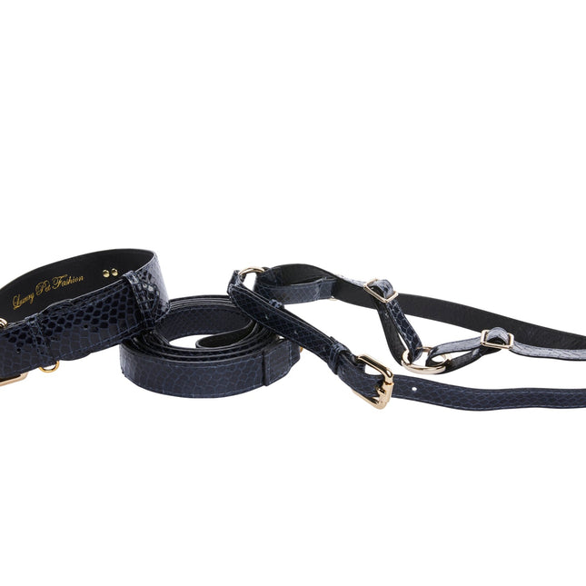 Navy Blue Snake Classic Hardware Collar, Leash, & Harness Set