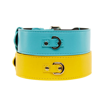 Turquoise Italian Leather/Silver Classic Hardware Collar & Yellow Italian Leather/Classic Gold Hardware Set