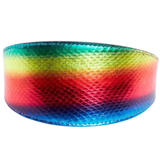 Pride Collection. Rainbow Snake 3” Wide Style Collar