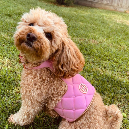 The Peony Dog Harness