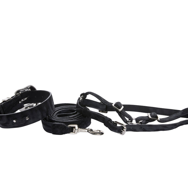 Black & Dark Navy Blue Glamorous, Classic Italian Leather With Silver Swarovski Hardware Collar, Leash, Harness, Set