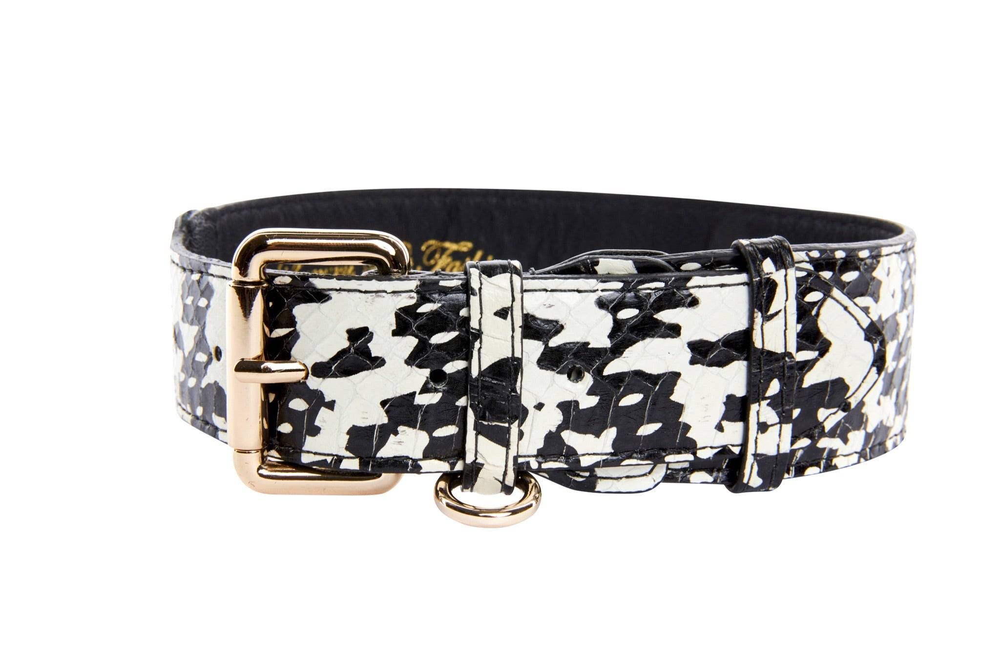 Black & White Snake Collar With Classic Gold Hardware