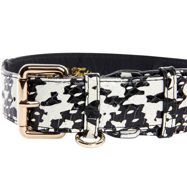 Black & White Snake Collar With Classic Gold Hardware