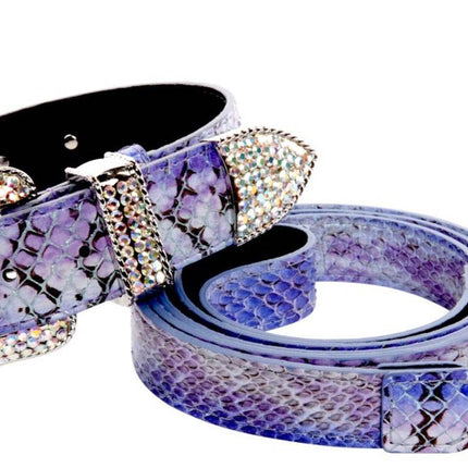 Purple/Silver/Black Custom Iridescent Snake/Swarovski Crystal Collar & Leash Set