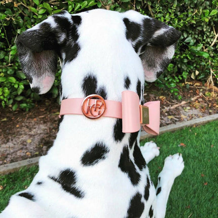 Leather Bow Collar - At Dusk